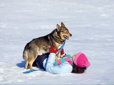 A woman and her dog are playing in the snow.